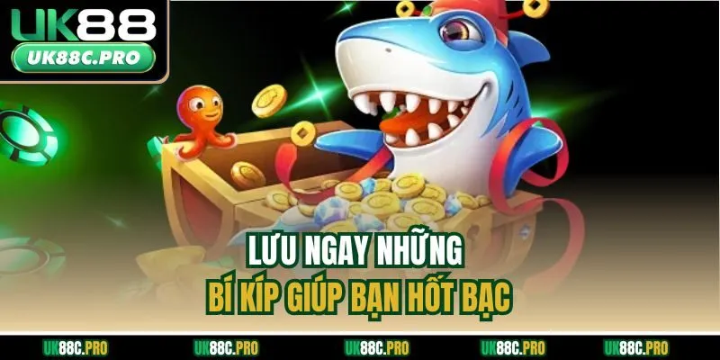 Lưu ngay những bí kíp giúp bạn hốt bạc